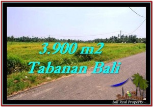 INVESTASI PROPERTI, DIJUAL TANAH di TABANAN BALI TJTB258