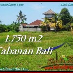 DIJUAL TANAH di TABANAN Untuk INVESTASI TJTB231