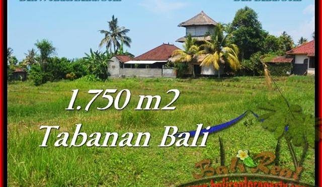 DIJUAL TANAH di TABANAN Untuk INVESTASI TJTB231