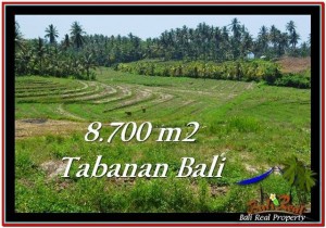TANAH MURAH JUAL di TABANAN BALI 8,700 m2 View Laut dan Gunung
