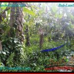 JUAL TANAH di TABANAN 1,000 m2 View Kebun