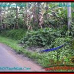 JUAL TANAH di TABANAN 1,000 m2 View Kebun