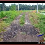 TANAH di TABANAN JUAL MURAH 11 Are View sawah, laut dan gunung
