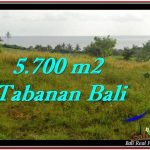 TANAH di TABANAN BALI DIJUAL MURAH 5,700 m2 di Tabanan Selemadeg