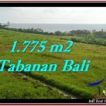 DIJUAL TANAH di TABANAN Untuk INVESTASI TJTB251