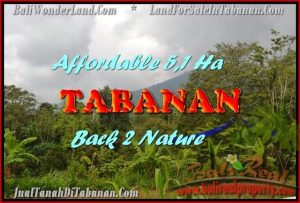 TANAH MURAH JUAL di TABANAN BALI 511 Are View gunung dan laut singaraja