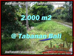 DIJUAL TANAH di TABANAN BALI TJTB206