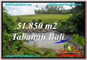 TANAH JUAL MURAH TABANAN BALI 51,850 m2 View Sawah dan Sungai