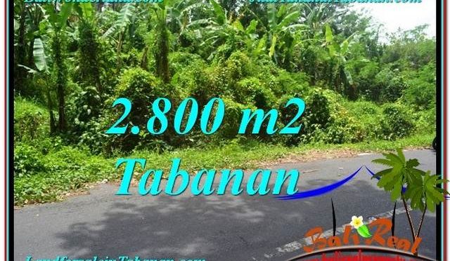 TANAH DIJUAL MURAH di TABANAN BALI TJTB300