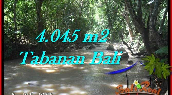 JUAL TANAH MURAH di TABANAN 40.45 Are di Tabanan Selemadeg