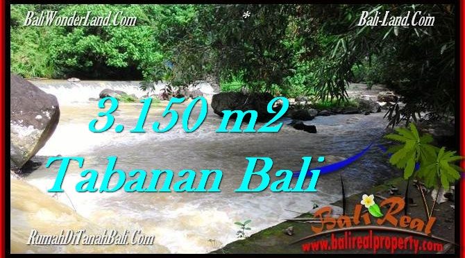 TANAH di TABANAN DIJUAL MURAH 3,150 m2 di Tabanan Selemadeg