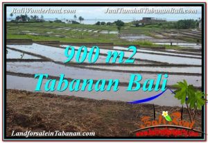 TANAH MURAH  di TABANAN BALI DIJUAL 900 m2  View Laut, Gunung dan sawah
