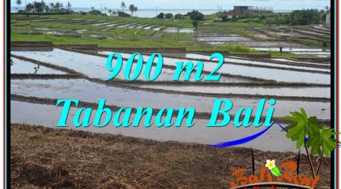 TANAH MURAH di TABANAN BALI DIJUAL 900 m2 View Laut, Gunung dan sawah