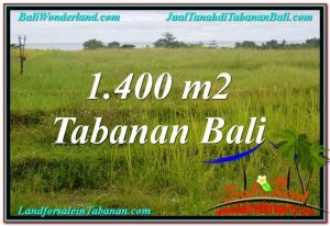 JUAL MURAH TANAH di TABANAN BALI 14 Are View Laut, Gunung dan sawah