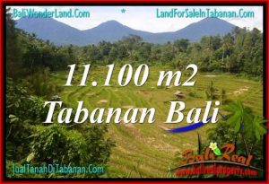 TANAH DIJUAL di TABANAN 11,100 m2  View gunung dan sawah