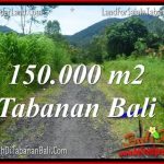 DIJUAL TANAH MURAH di TABANAN BALI 1500 Are di Tabanan Penebel