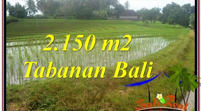 TANAH MURAH di TABANAN BALI DIJUAL 2,150 m2 View gunung dan sawah