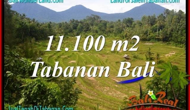 JUAL MURAH TANAH di TABANAN 11,100 m2 View gunung dan sawah