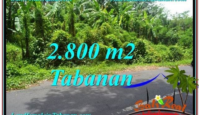 JUAL TANAH MURAH di TABANAN BALI TJTB300