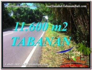 TANAH di TABANAN BALI DIJUAL MURAH TJTB327