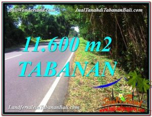 JUAL TANAH MURAH di TABANAN Untuk INVESTASI TJTB327