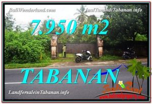 TANAH MURAH JUAL di TABANAN BALI 79.5 Are View Kebun 