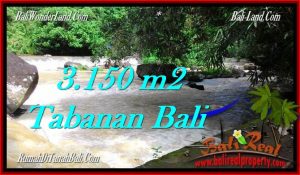 JUAL MURAH TANAH di TABANAN 31.5 Are View kebun dan sungai
