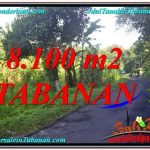 DIJUAL TANAH MURAH di TABANAN BALI 81 Are di Tabanan Marga