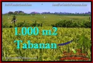 TANAH MURAH JUAL di TABANAN BALI 1,000 m2  View sawah, gunung