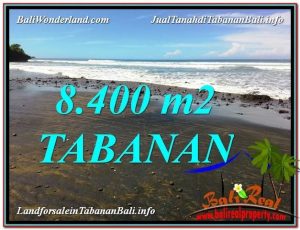 TANAH MURAH JUAL   TABANAN 84 Are View laut dan Lingkungan Villa