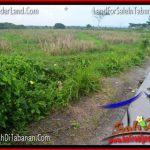 DIJUAL MURAH TANAH di TABANAN Untuk INVESTASI TJTB343