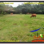 JUAL TANAH MURAH di TABANAN BALI 60 Are View laut dan sawah