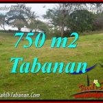 TANAH MURAH JUAL TABANAN 7.5 Are View laut dan sawah
