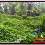 JUAL TANAH MURAH di TABANAN BALI 98 Are View Laut dan sawah