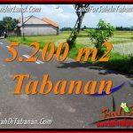 TANAH MURAH JUAL TABANAN 52 Are View sawah