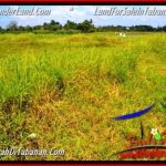 TANAH MURAH JUAL TABANAN 52 Are View sawah