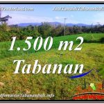 JUAL TANAH di TABANAN 1,500 m2 View sawah