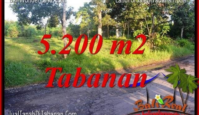 JUAL MURAH TANAH di TABANAN BALI 52 Are View Kebun dan Sungai
