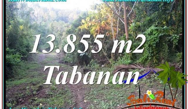 JUAL TANAH MURAH di TABANAN BALI 138.55 Are View Kebun dan Sungai