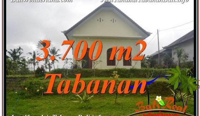 JUAL MURAH TANAH di TABANAN BALI 3,700 m2 View Kebun