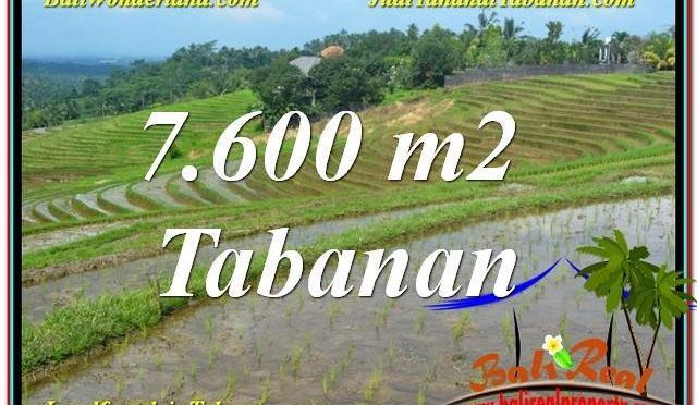 JUAL TANAH di TABANAN BALI 7,600 m2 di Tabanan Selemadeg