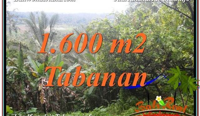 DIJUAL MURAH TANAH di TABANAN 1,600 m2 di Tabanan Selemadeg