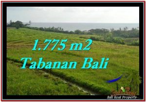 TANAH di TABANAN BALI DIJUAL MURAH TJTB251