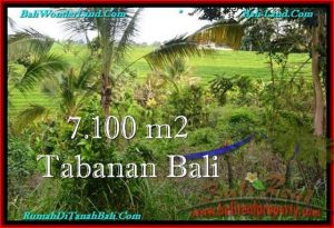 JUAL MURAH TANAH di TABANAN BALI 71 Are View sawah dan Kebun