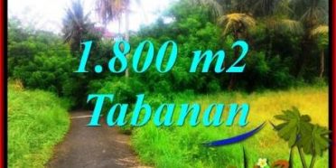 TANAH MURAH DIJUAL di TABANAN BALI Untuk INVESTASI TJTB357