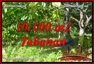 DIJUAL TANAH MURAH di TABANAN BALI 101 Are di Tabanan Selemadeg Barat