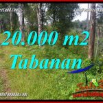 JUAL TANAH di TABANAN 20,000 m2 di Tabanan Selemadeg Timur