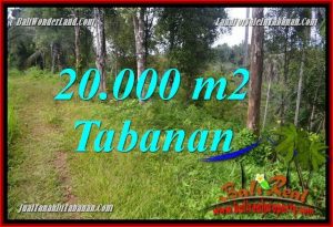 JUAL TANAH di TABANAN 20,000 m2 di Tabanan Selemadeg Timur