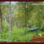 DIJUAL MURAH TANAH di TABANAN TJTB365
