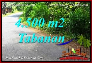 TANAH DIJUAL di TABANAN BALI Untuk INVESTASI TJTB380